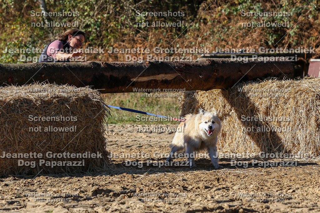 Dog Paparazzi - Strongdog 10-25-2466 | Dog Paparazzi Jeanette Grottendiek Fotografie & Videografie - Realisiert mit Pictrs.com