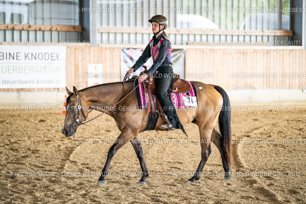 DSC07792 | Pferdegrafie