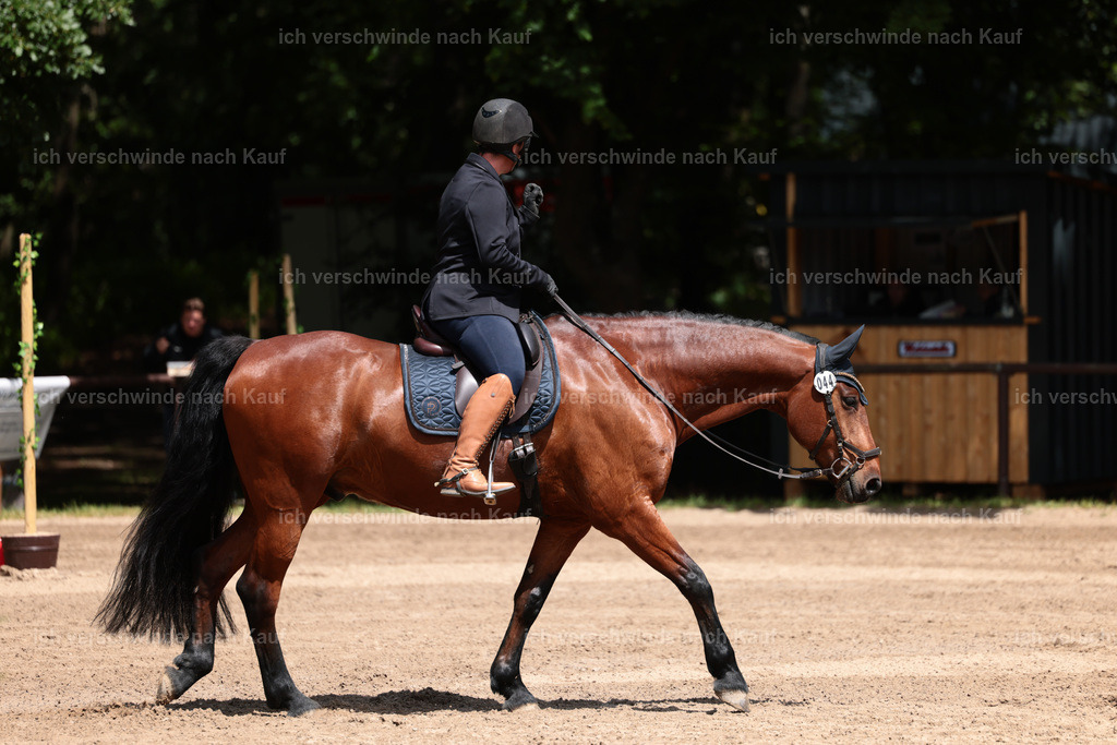 KlasseA_Stoibphotography_C2_L5469.JPG | working equitationturnier fotograf videograf stoibphotography marixx film working equitation deutschland reitsport turnierfotografie eventfotografie equestrian events