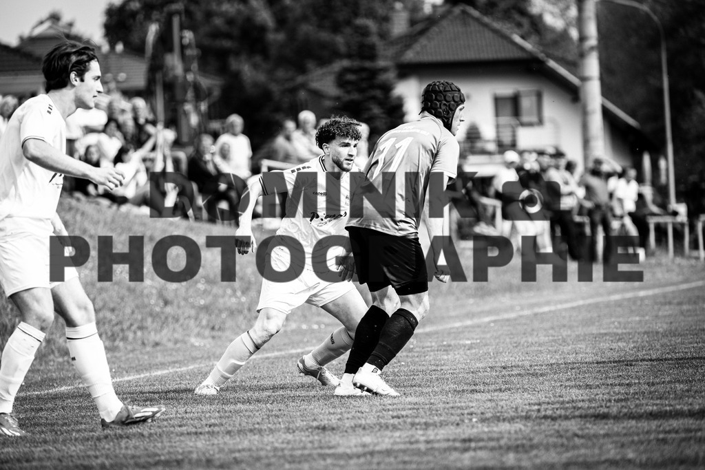 _62_6208_swx | dominik-photographie - Realisiert mit Pictrs.com
