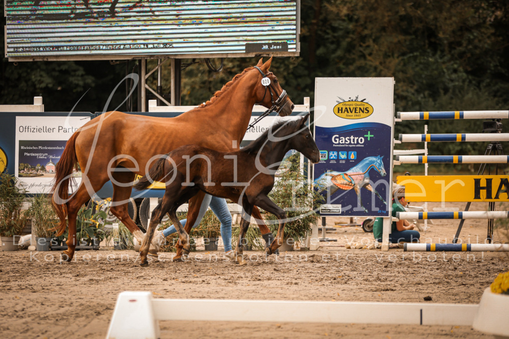 SaPA00287 | Leoni Ertmer Photography - Realisiert mit Pictrs.com