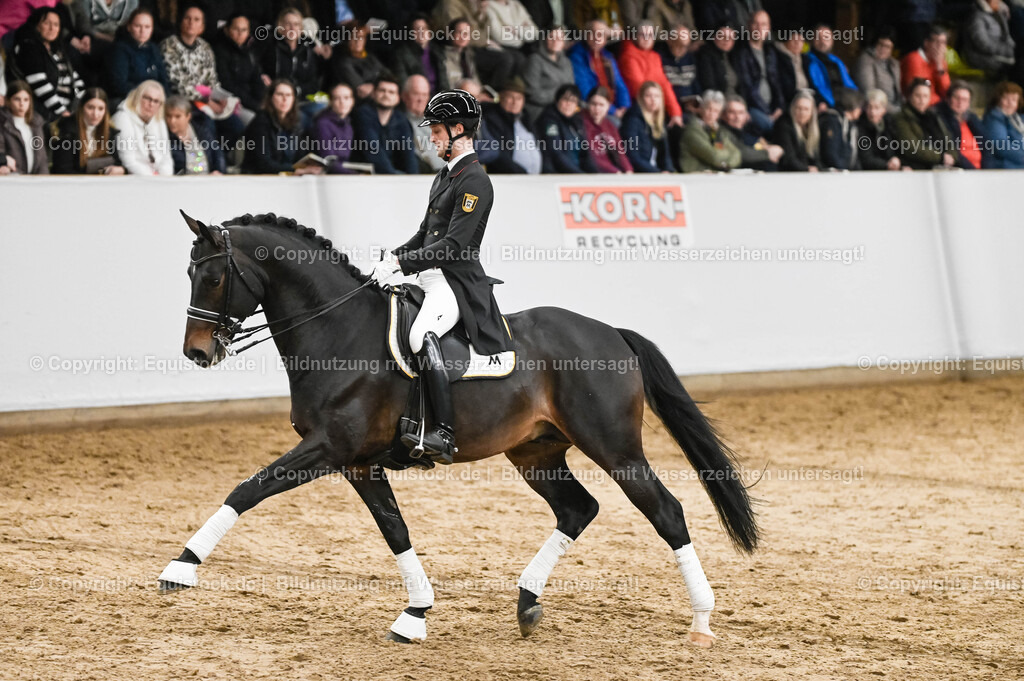 20260307_Hengstvorstellung-Marbach_0214 | equistock