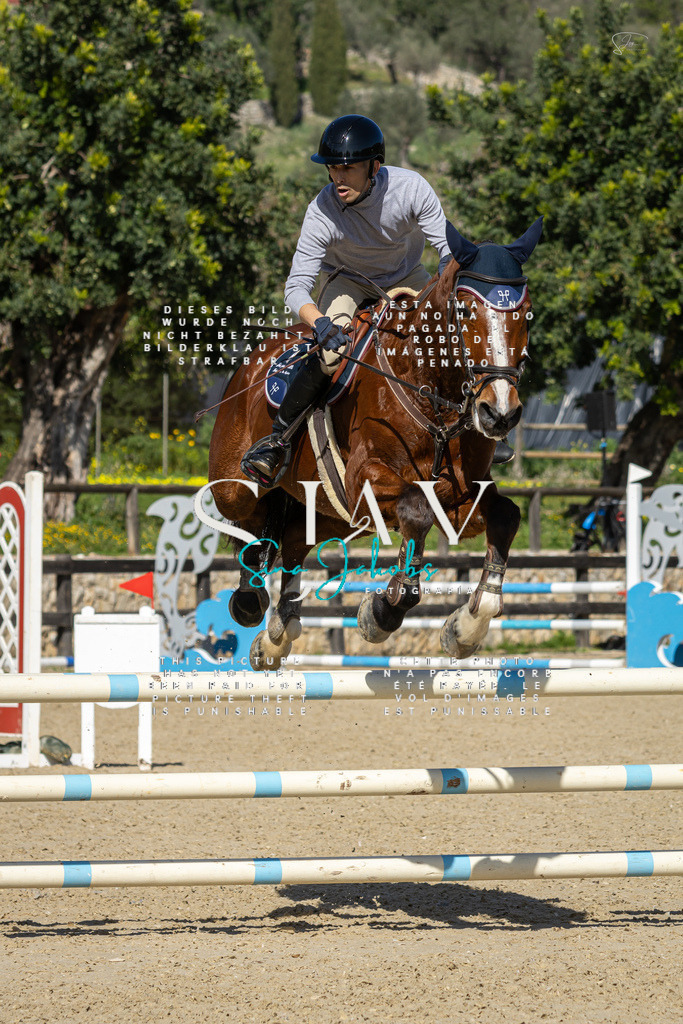 IMG_6557 | s-jay-photography - Realisiert mit Pictrs.com