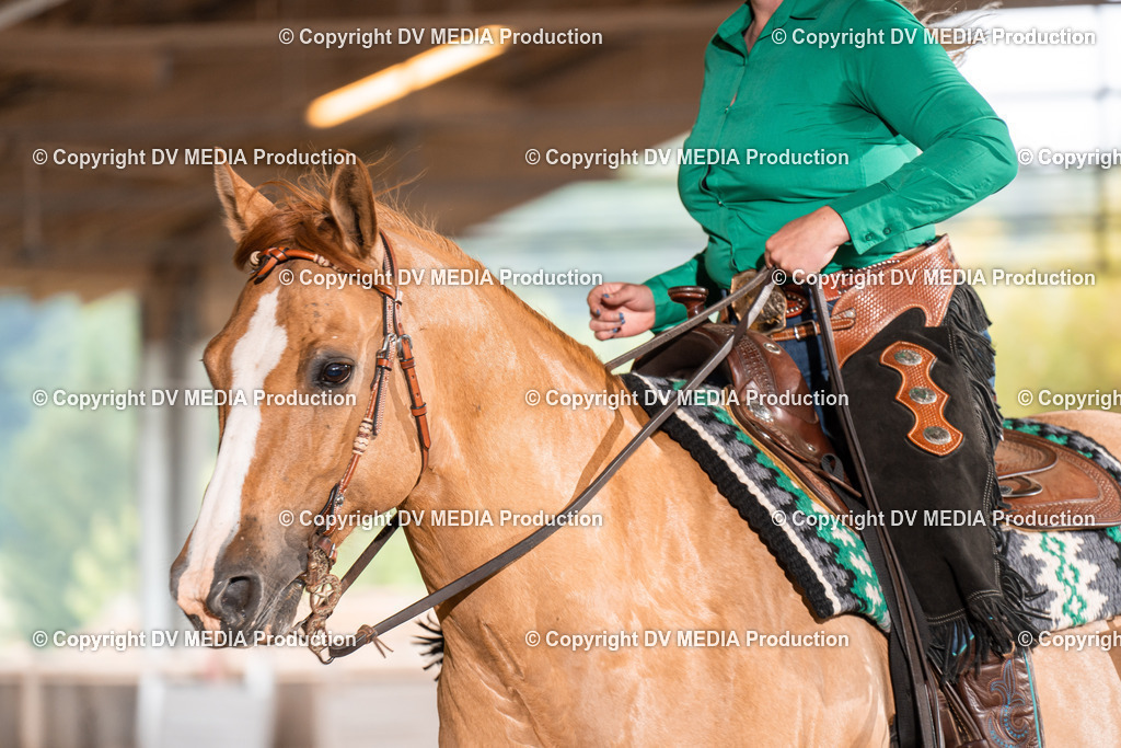 Erbach Tag 2-665 | dv-media-shop - Realisiert mit Pictrs.com