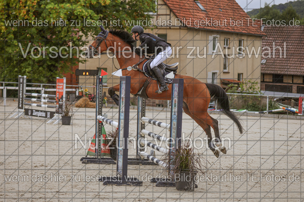 2025-09-22_09-35-29_MG_3764 | TE-Fotos