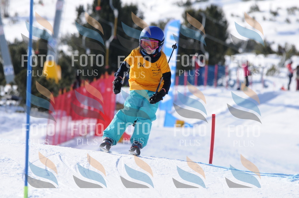 C7050 | holidayphoto