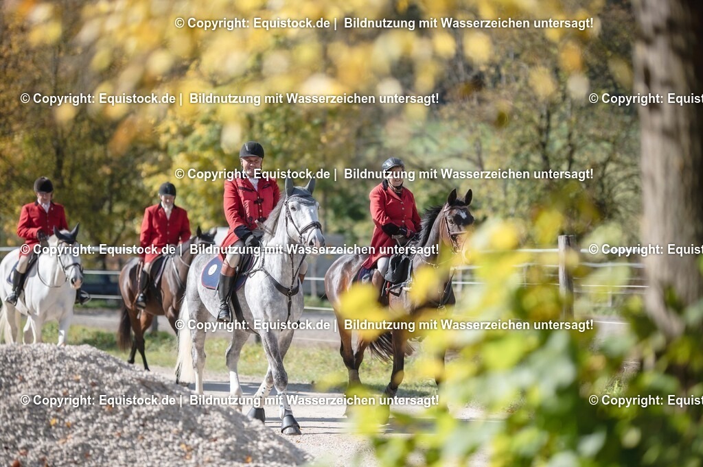 20251011_Jagd-Marbach_0079 | Foto: Thomas Hartig