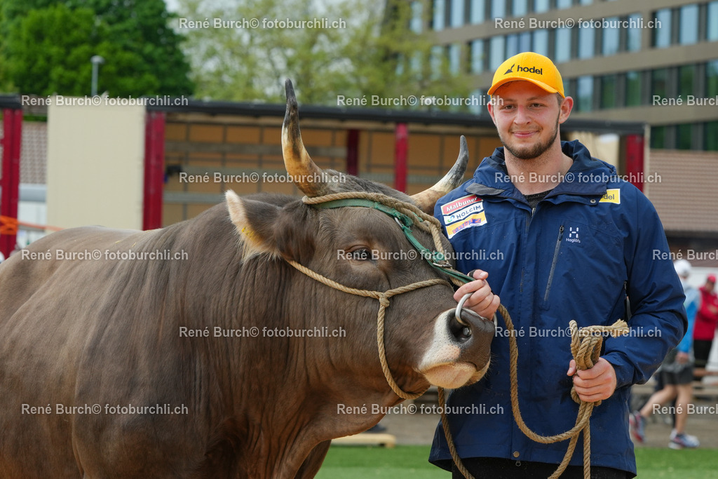 Van Messel Noe (2) | René Burch leidenschaftlicher Fotograf aus Kerns in Obwalden.  Hier finden sie Sport, Landschaft und Natur Fotografie.
 - Realisiert mit Pictrs.com