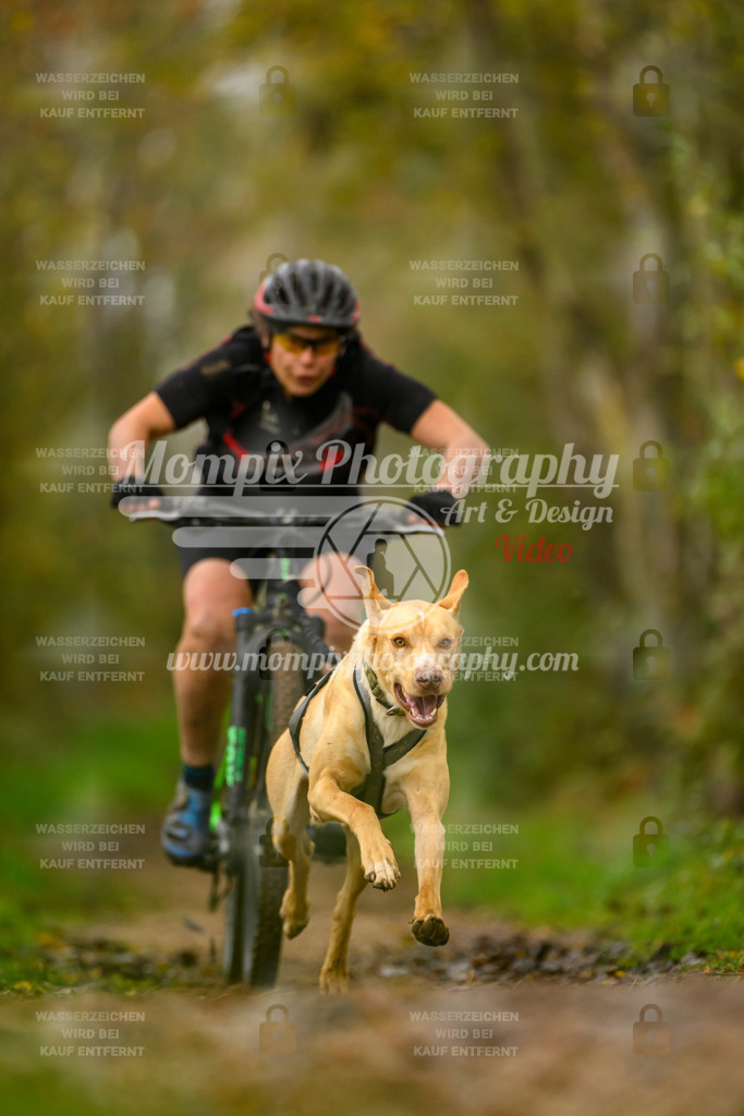 MompixPhotography_20TSB_E6_Bike-93 | PayLife