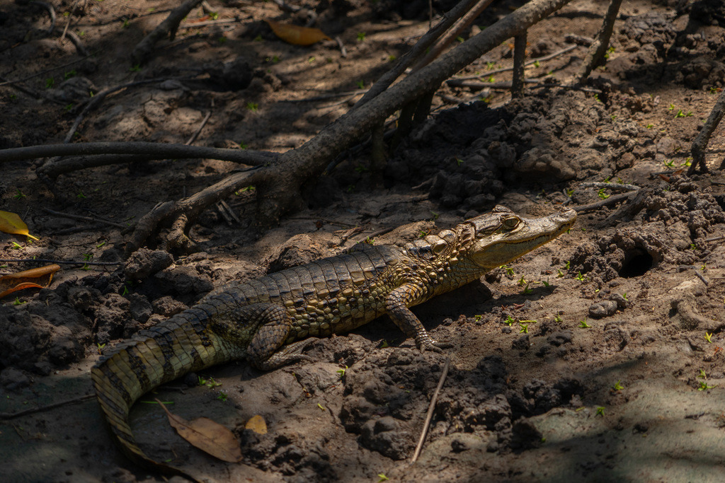 DeltaTour 30.10.25 | paulependelt - Realisiert mit Pictrs.com