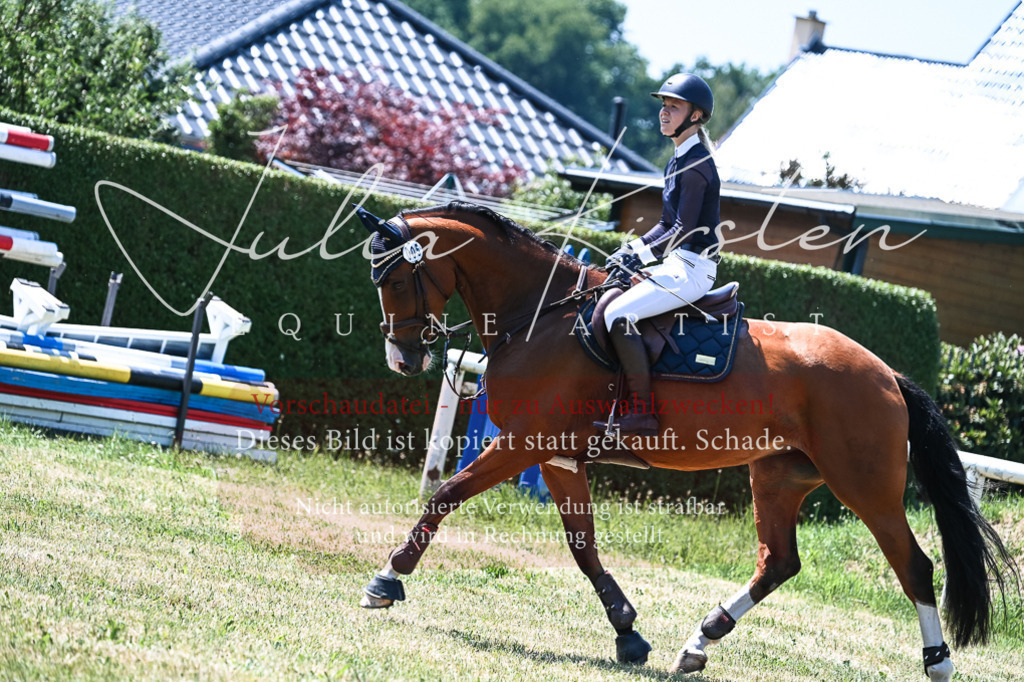 DSC_0171 | Pferde- und Turnierfotografie in Westsachsen. Pferdeportraits, Auftragszeichnungen und intuitive Kunst.
