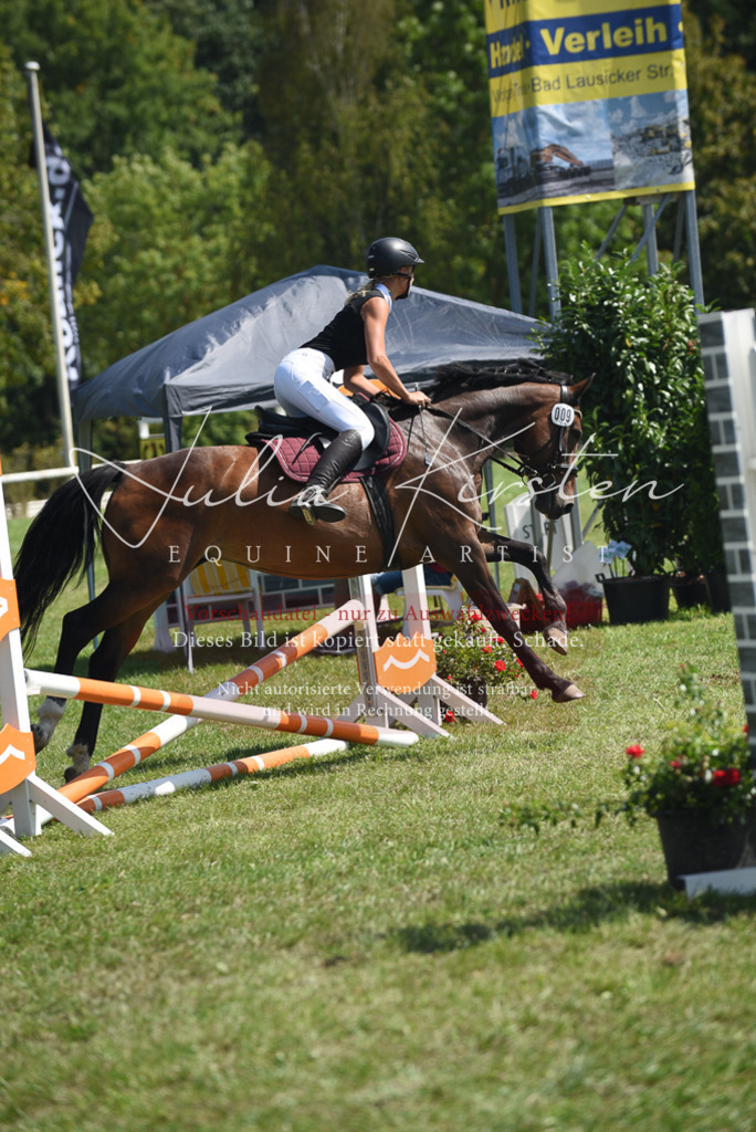 DSC_0149 | Pferde- und Turnierfotografie in Westsachsen. Pferdeportraits, Auftragszeichnungen und intuitive Kunst.