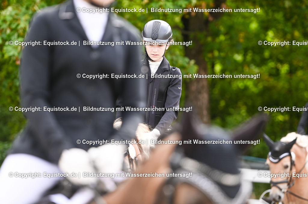 20230716_10-1_Reiter-WB Schritt - Trab - Galopp_0036 | equistock