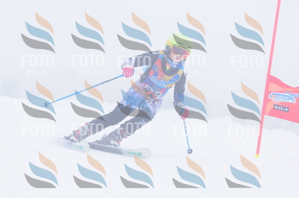 C2555 | holidayphoto