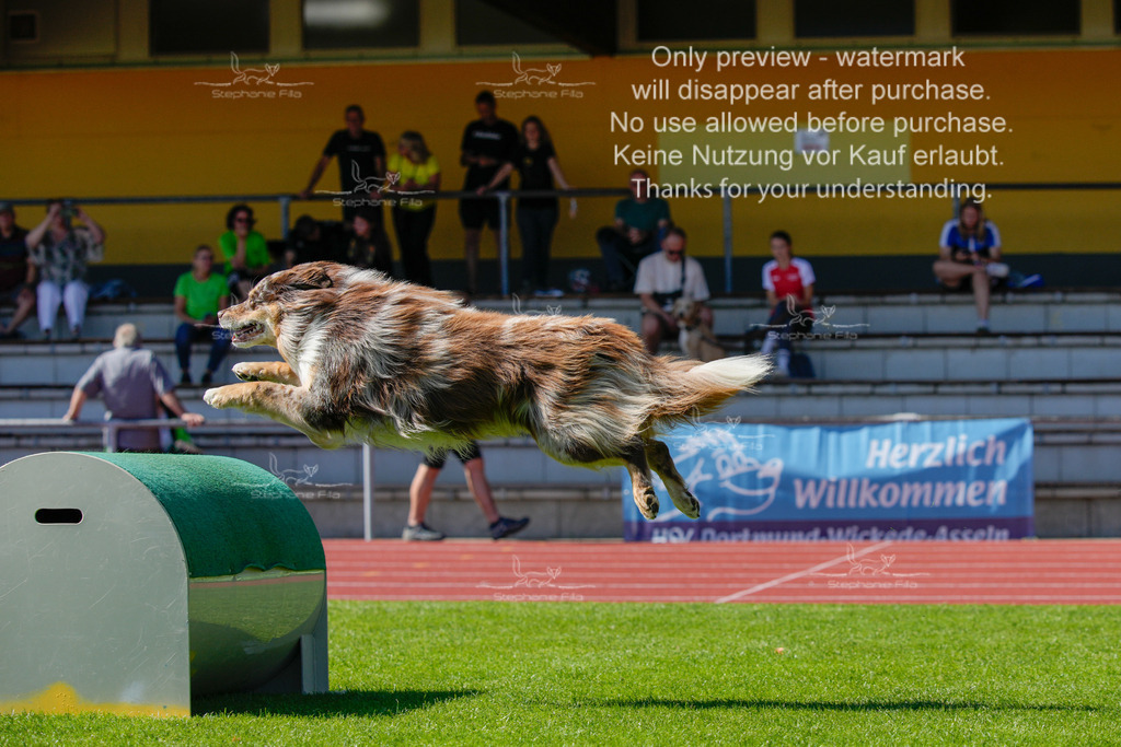 Sonntag_VK Hindernis (117 von 671) | stephaniefillaphotographie - Realisiert mit Pictrs.com