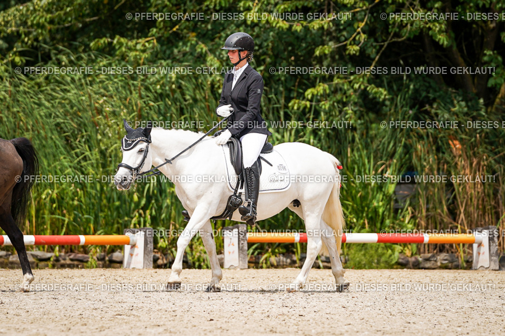 DSC03900 | Pferdegrafie