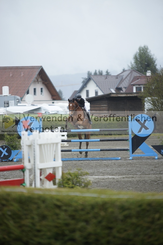 _DSC6294 | equestrian-live-com