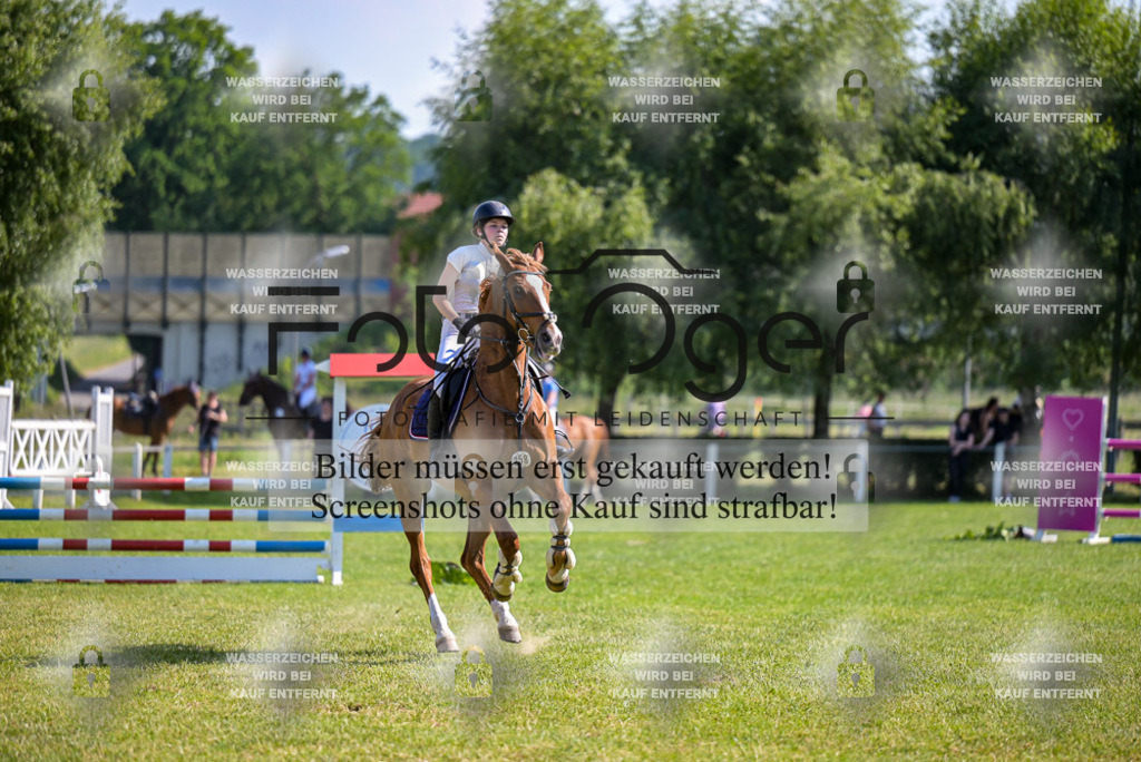 20230609-DOS_1918 | Entdecke hochwertige Reitturnierfotos von Foto Oger. Professionell, emotional und authentisch – jetzt Lieblingsmomente im Shop bestellen.Deutschlandweite Turnierfotografie. - Realisiert mit Pictrs.com