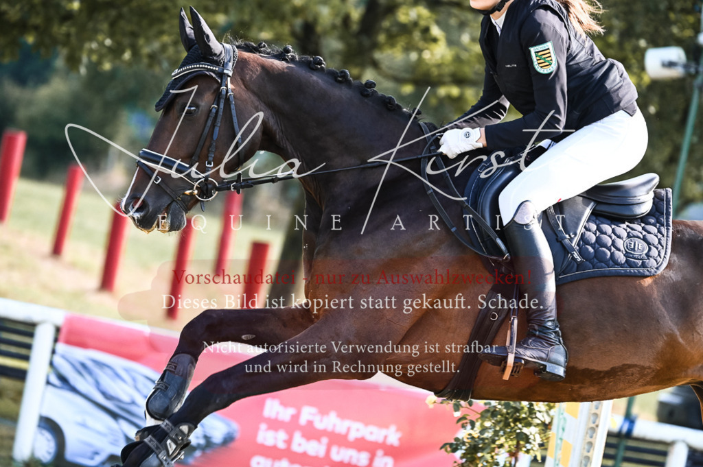DSC_7590 | Pferde- und Turnierfotografie in Westsachsen. Pferdeportraits, Auftragszeichnungen und intuitive Kunst.