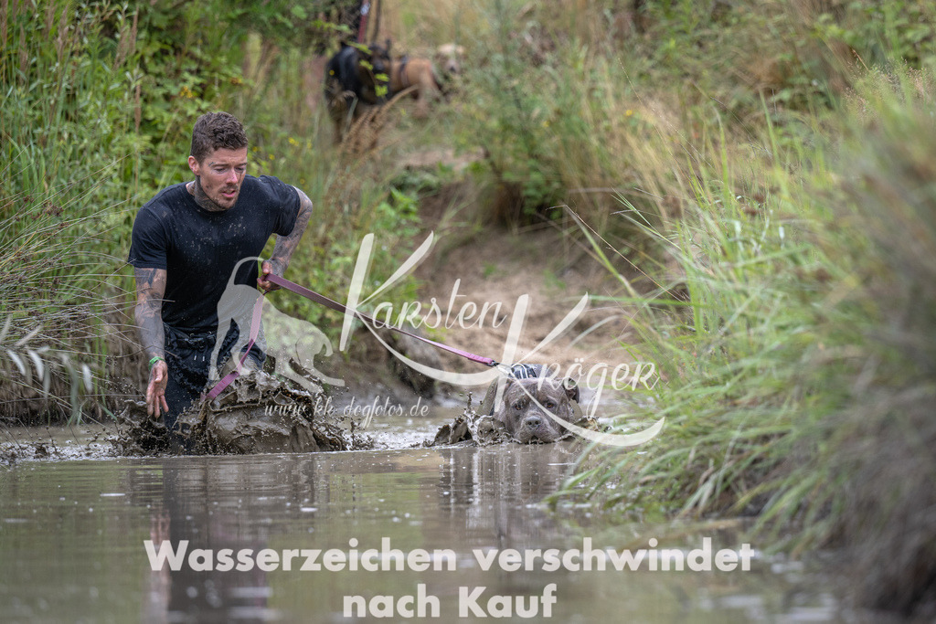 1229_ZZ99369 | kk-dogfotos