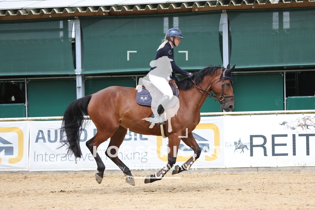 0P6A4191 | Willkommen bei Brunnmayr - Design & Fotografie – Ihrem Spezialisten für Reitturniere und Pferdeveranstaltungen in Oberösterreich, Salzburg und Bayern! Seit über 17 Jahren sind wir leidenschaftlich dabei.