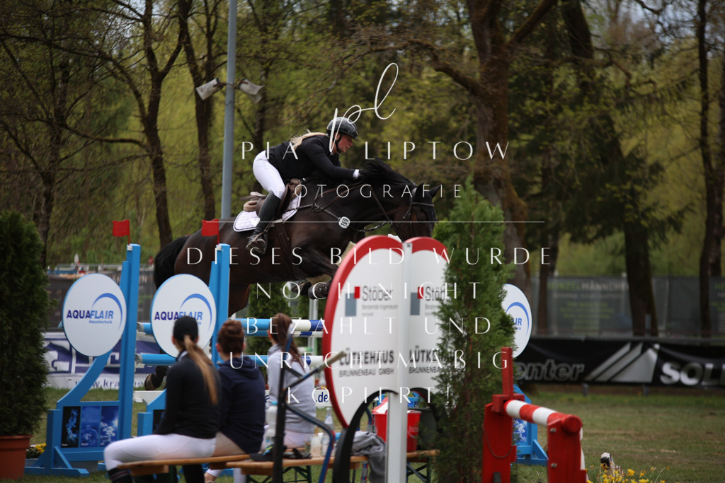 IMGT1731 | pl-fotografie