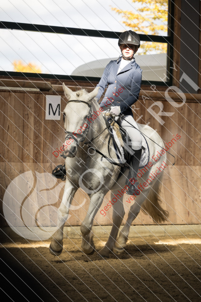 CON_6124 | Sport-, Event- und Tierfotos in Profiqualität. Einfach auswählen, bestellen und herunterladen. Dein Moment – perfekt festgehalten.