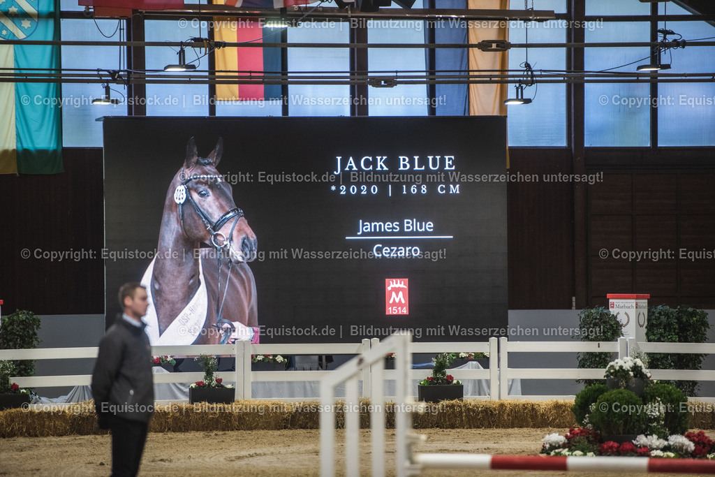 20240302_Hengstvorstellung_Marbach_TOMsPiC_0200 | equistock