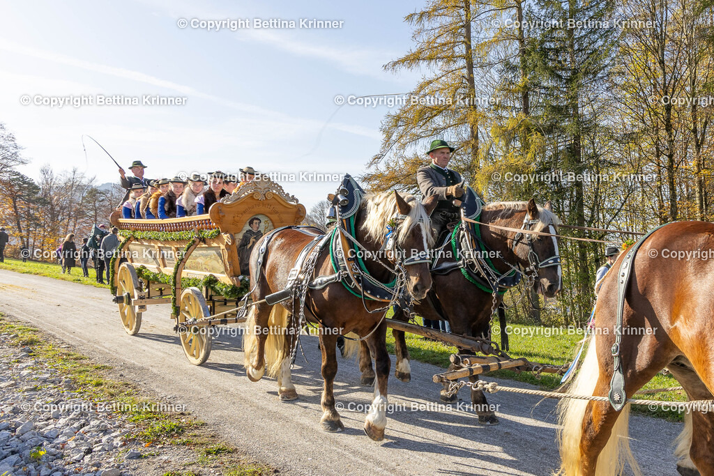 LBT24-1578 | foto-bettina-krinner - Realisiert mit Pictrs.com