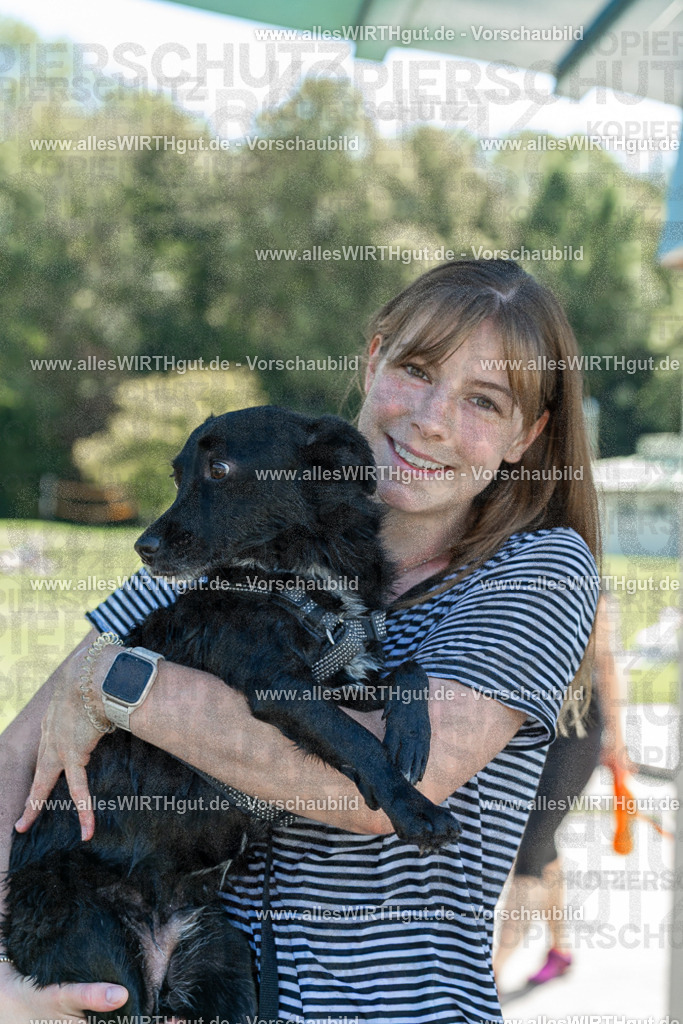 Hundeschwimmen_Volksbad_2026-allesWIRTHgut_Tierfotografie-2609061259-120954-7R500372 | Professionelle Tierfotografie in Mönchengladbach von Daniel Wirth (allesWIRTHgut). Liebevolle & natürliche Bilder von Hunden & Katzen für unvergessliche Erinnerungen.