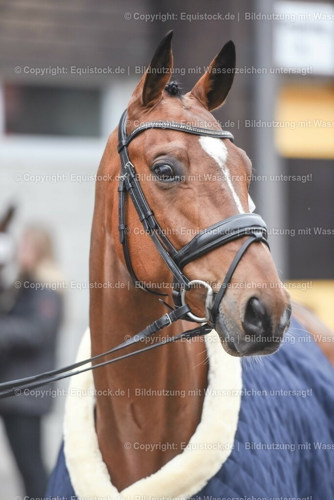 20230514_Impressionen_0087 | equistock