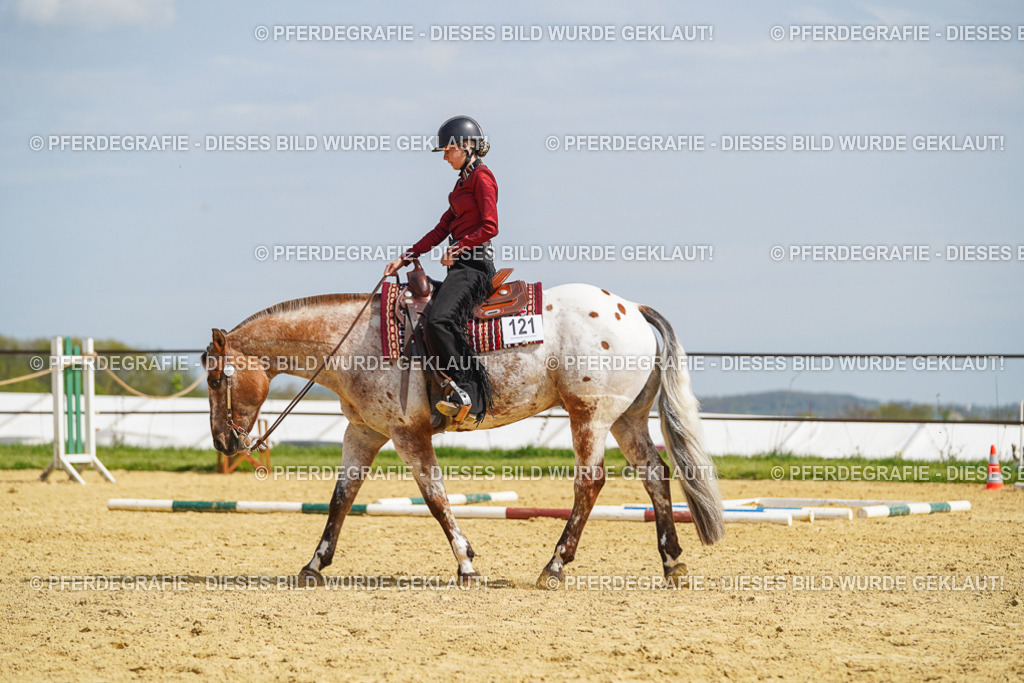 DSC04435 | Pferdegrafie