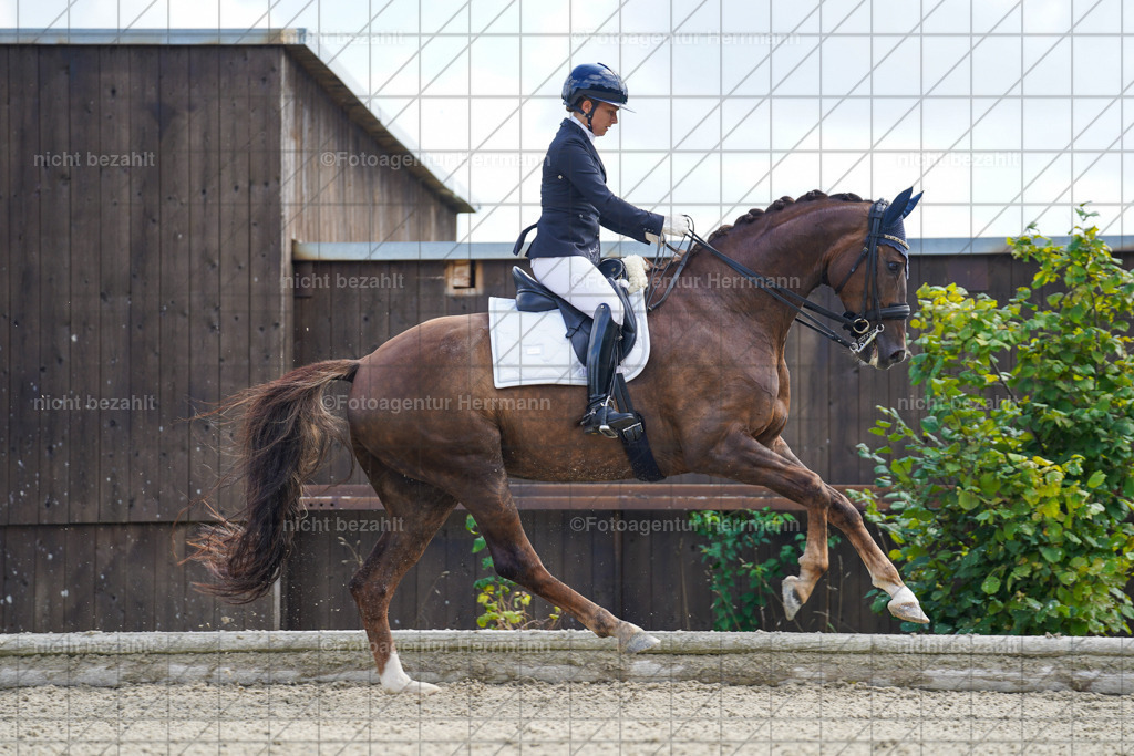 20230826-FAH05811 | Forstinning, 2023, Dressurturnier, Turniersportbilder, Turnierfotografen Bayern, Fotoagentur Herrmann, Reitsportfotografie, Turnierbilder