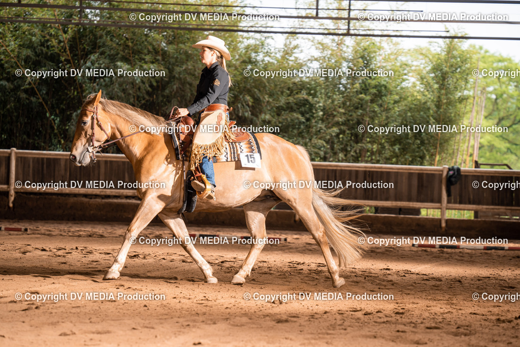 Erbach Tag 4-785 | dv-media-shop - Realisiert mit Pictrs.com