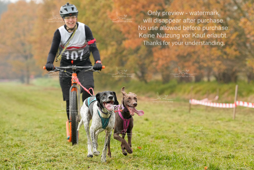 Visbeck_Sa_DS2DR2-63 | stephaniefillaphotographie - Realisiert mit Pictrs.com