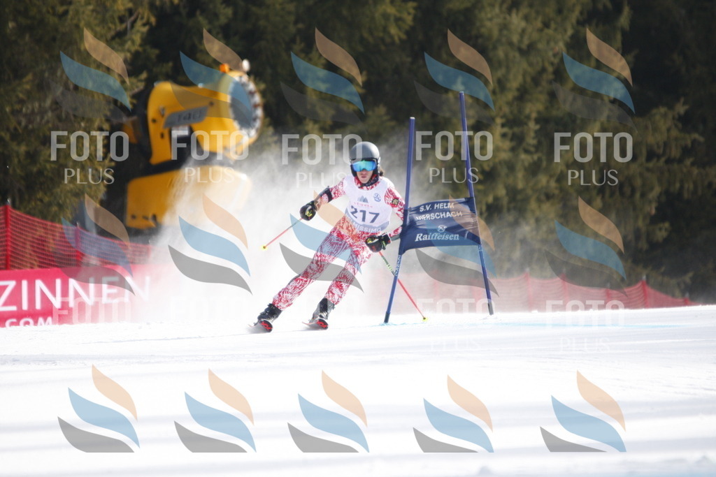 D8349 | holidayphoto