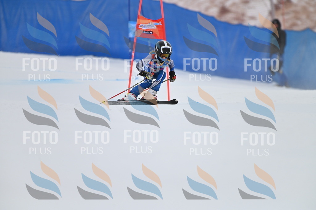 BGV_1826 | holidayphoto