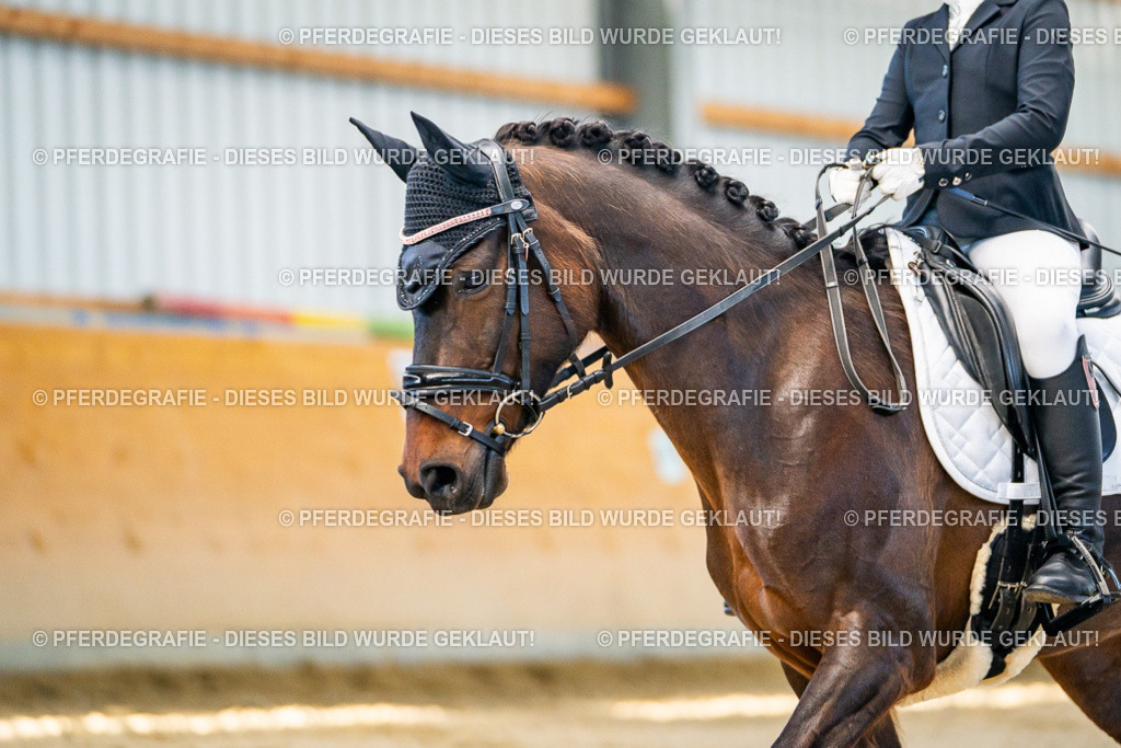 DSC06304 | Pferdegrafie