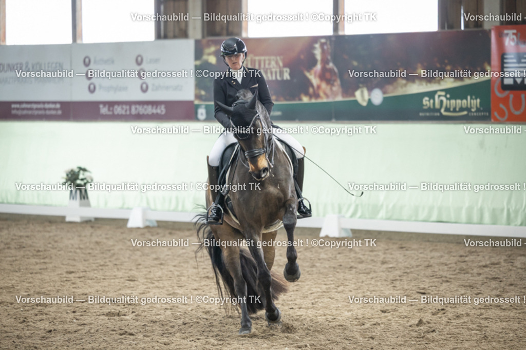 _D5A6099 | Emotionale Pferde- & People-Fotografie rund um Heidelberg, Leimen & Umgebung. Natürliche Fotos von Pferd, Mensch & Familie. Jetzt Termin sichern!