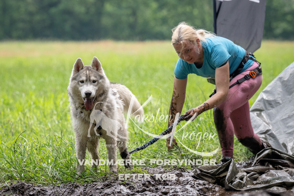 1110_ZZ91735 | kk-dogfotos