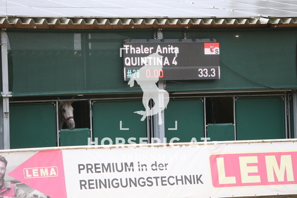 DL2Q0363 | Willkommen bei Brunnmayr - Design & Fotografie – Ihrem Spezialisten für Reitturniere und Pferdeveranstaltungen in Oberösterreich, Salzburg und Bayern! Seit über 17 Jahren sind wir leidenschaftlich dabei.