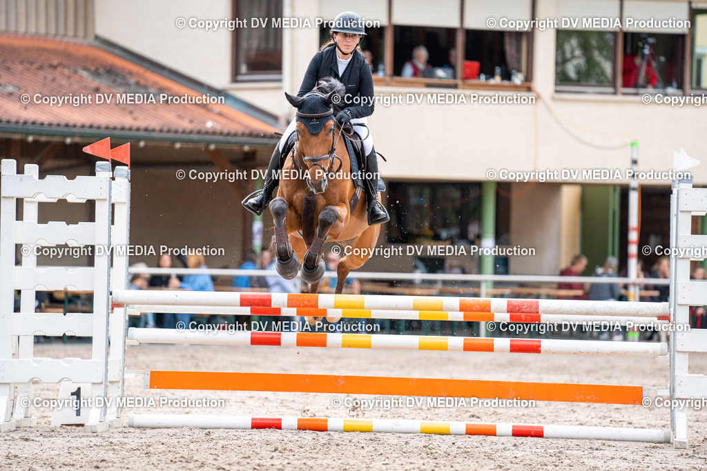 Eppelheim Tag 2-578 | dv-media-shop - Realisiert mit Pictrs.com