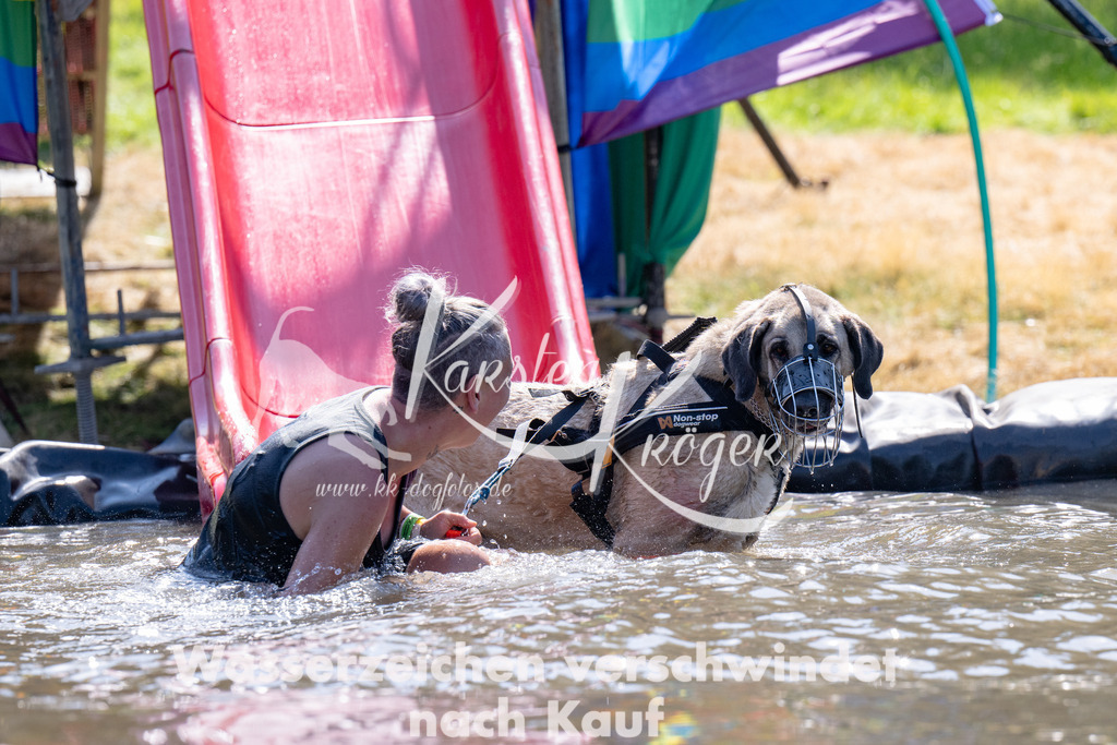 1401_ZZ92727 | kk-dogfotos