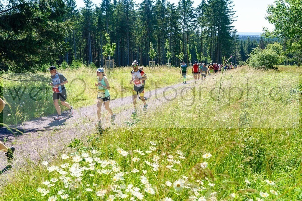 Schneekopflauf 2024 | Am 6. Juli 2024 startete der 21. Schneekopflauf von Schmiedefeld zum Schneekopf.
