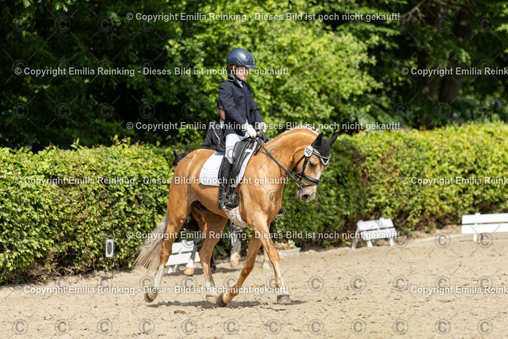 CL5A1119 | Emilia Reinking Fotografie - Realisiert mit Pictrs.com