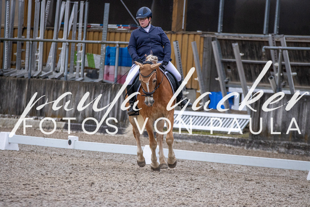 IMG_2438 | Erleben Sie dynamische Sport- und emotionale Tierfotografie in Süddeutschland mit Fotos von Paula. Spezialisiert auf Pferde- und Hundefotografie sowie Sportevents. Kontaktieren Sie mich für einzigartige und ausdrucksstarke Bilder Ihrer besonderen Momente. - Realisiert mit Pictrs.com