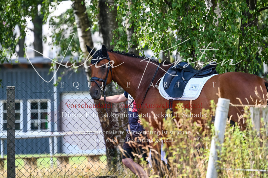 DSC_2713 | Pferde- und Turnierfotografie in Westsachsen. Pferdeportraits, Auftragszeichnungen und intuitive Kunst.