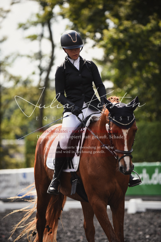 DSC_3880 | Pferde- und Turnierfotografie in Westsachsen. Pferdeportraits, Auftragszeichnungen und intuitive Kunst.