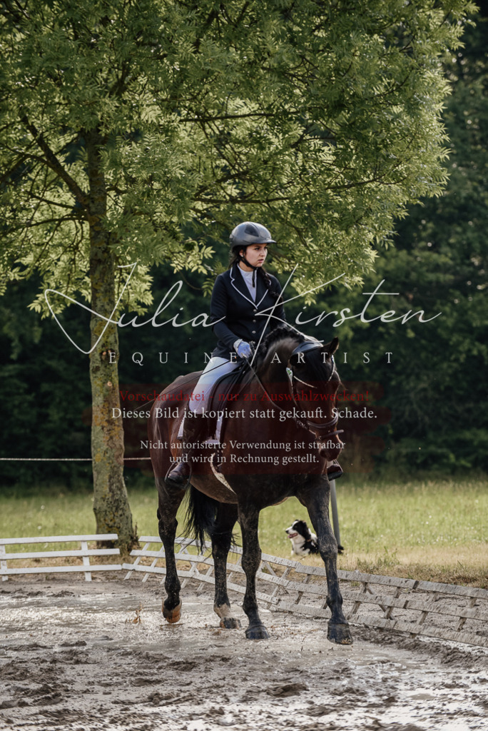 DSC_8557 | Pferde- und Turnierfotografie in Westsachsen. Pferdeportraits, Auftragszeichnungen und intuitive Kunst.