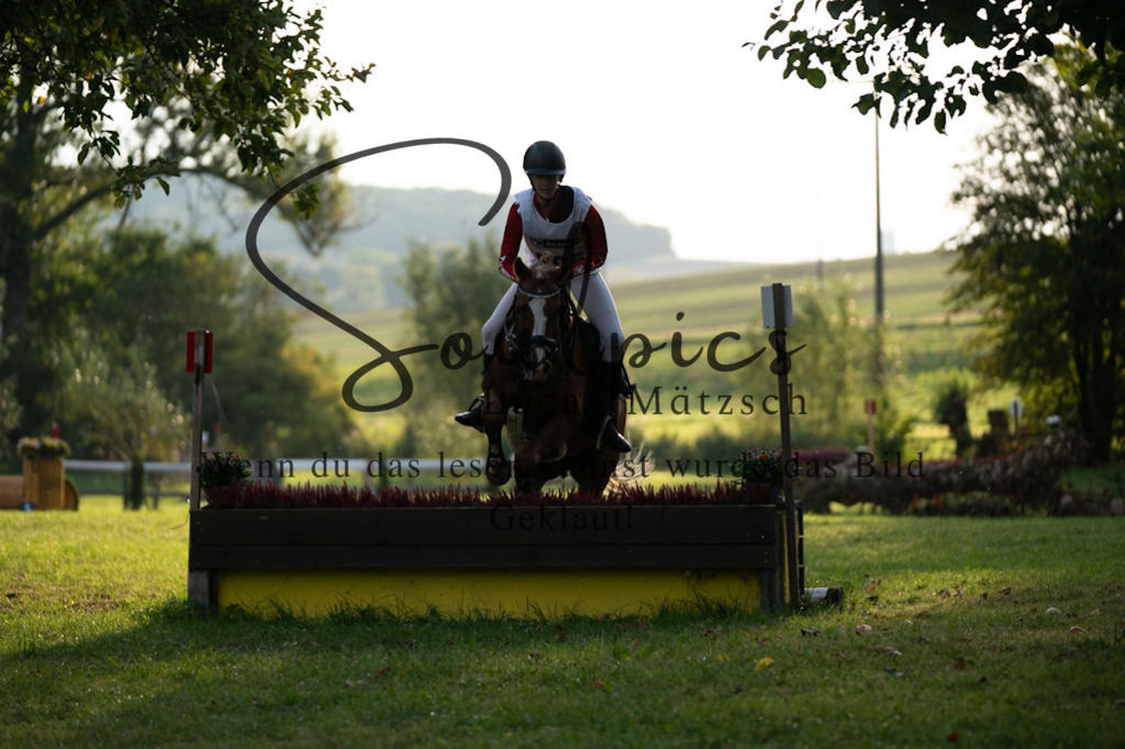 A7V02873 | Pferdefotograf